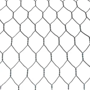 High Strength Galvanized Gabion Box Wire Mesh Stone Cage for Coastal Protection and Water Conservancy Projects thumbnail-1
