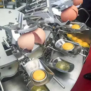 Whole Automatic Egg Processing Line thumbnail-1