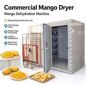 Commercial Mango Dryer Mango Dehydration Machine Mango Drying Production Line for Fruit Processing thumbnail-1