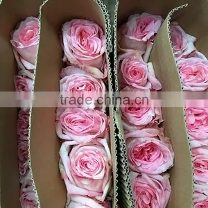 Fashionable Classical Stylish Pink Artificial Flowers Rose thumbnail-1