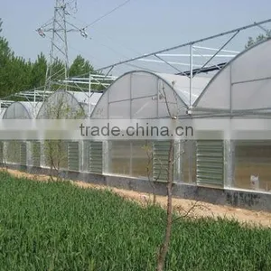 Winter Greenhouse With Film Coverage thumbnail-3