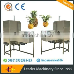Leader Pineapple Peel and Pulp Separater With Low Power Consumption thumbnail-3