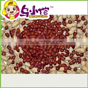 Roasted Peanuts With Shell thumbnail-4