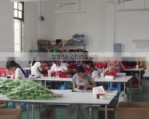 Xiamen SYS Ribbons & Bows Co., Ltd. company overview - view 2 thumbnail