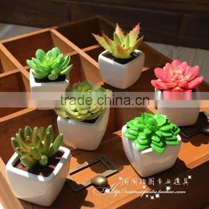 Wholesale Artificial Mini Succulent Flower Plants, Mini Flower Bonsai thumbnail-3