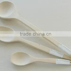 Wooden Spoon thumbnail-1