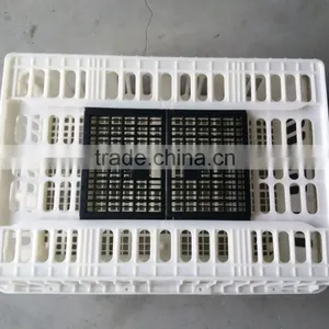 Plastic Chicken Layer Cage for Sale thumbnail-1