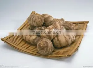 New Crop Taro Wholesale With Competitive Export Price thumbnail-1