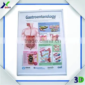 Pharma Gift 3d Medical Poster, Anatomy Embossed Medical Wall Chart thumbnail-1