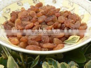 Sell Snack Sultana Raisin With Cheap Price thumbnail-1