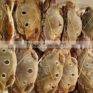 Frozen Whole Three Spotted Crab With High Quality thumbnail-1