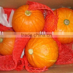 Saffron Fresh Big Pumpkin thumbnail-1