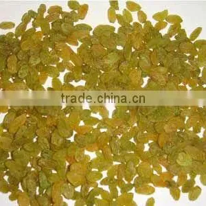 DRIED GREEN RAISIN thumbnail-1
