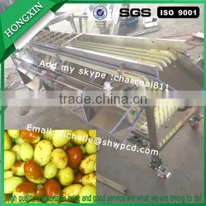 Fruit Sorting Machine, Dates Grading Machine, Fruit Sorter Machine thumbnail-1