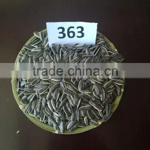 Export American Type Sunflower Seeds thumbnail-2