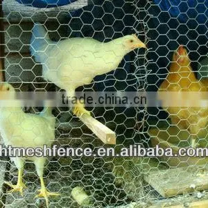Poultry Wire Fence thumbnail-1