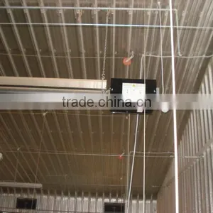 Poultry Farm Equipment for Raising Chickens on Ground thumbnail-2