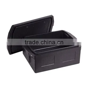 Plastic Isothermal Container thumbnail-3