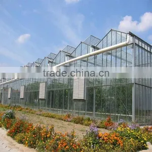 Multi Span Tunnel PE Plastic Film Hydroponic Systems Agricultural Commercial Greenhouse thumbnail-4