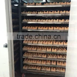 Electric Gypsum Block Tunnel Dryer thumbnail-4