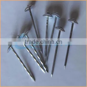 Top Quality Roofing Nails With Pvc Washer Trusted Chuanghe Suppliers From Com thumbnail-6