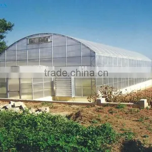 Plastic Film Covered Economic Tunnel Greenhouse For Agricultural Planting thumbnail-2