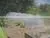 Best Price! Agricultural Garden Greenhouse Film for Export thumbnail-1