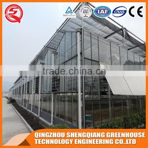 China Venlo Glass Greenhouse/greenhouse Steel Frame Planting Grows thumbnail-3