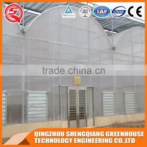 Plastic Film Greenhouse for Vegetables Planting,flowers,culture thumbnail-5