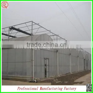 Hot Sale 12m Multi-span Agriculture Plastic Film Greenhouse for Planting thumbnail-6