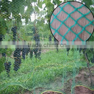 High Strength HDPE Vineyard Anti Bird Netting / Bird Protection Netting thumbnail-1