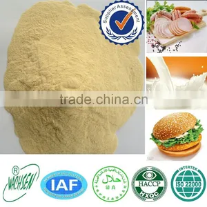 Food Grade Functional Concentrated Soy Protein thumbnail-1