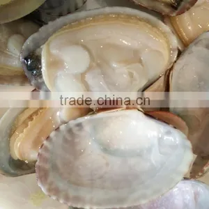 FROZEN DELICIOUS READY TO EAT CLAM thumbnail-1