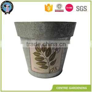 Hand Painted Metal Flower Pots&Planters thumbnail-1