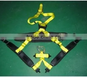 Full Body Harness thumbnail-1