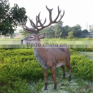 Red Deer Stag thumbnail-6
