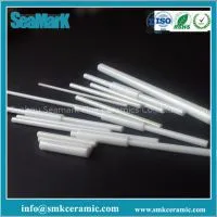 Pump Ceramic Shaft and Bushing thumbnail-3