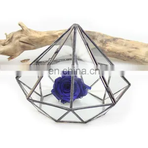 Terrarium Geometric Glass Terrarium Wholesale thumbnail-1