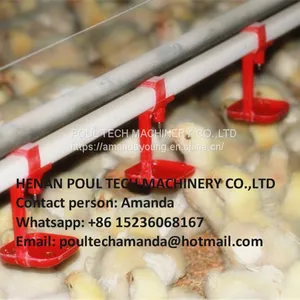Malawi Poultry & Chicken & Bird Farm Automatic Broiler Ground Breeding System & Chicken Floor Raising System With Automatic Nipple Drinker System thumbnail-3