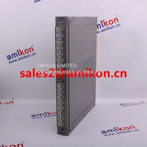 ICS TRIPLEX T8151B Trusted Communications Interface thumbnail-1
