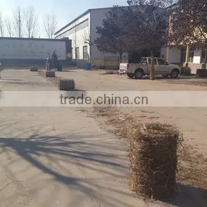Automatic RXYK0855 Alfalfa Baler thumbnail-6