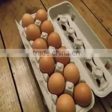 Paper Packing 10 Holes Eggs Trays for Sale thumbnail-4