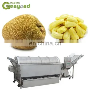 GENYOND Jackfruit Jack Fruit Juice Production Line thumbnail-1