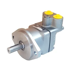 Double Vane Pump F11-SQP21-21-11-1DC-18 Injection Molding Machine F11 Oil Hydraulic Motor thumbnail-1