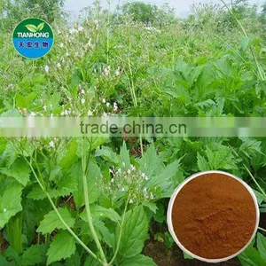 Valeriana Officinalis Extract in Good Quality Valerianic Acid thumbnail-1