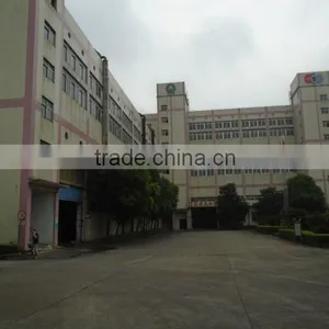 Guangdong Yilong Advanced Material Technology Co., Ltd. company overview - view 4 thumbnail