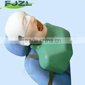 Dental Manikin Phantom Head/Dental Training Head Simulator Manikin With Torso for Student thumbnail-1