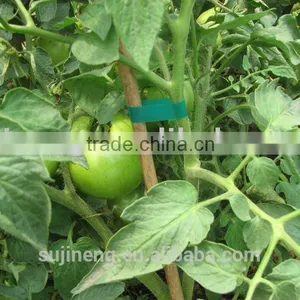 Fix Capsicum Tapetool thumbnail-3