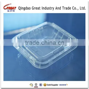 PET Disposable Blister Blueberry Clamshell Container thumbnail-1