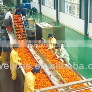 Orange Fruit Production Line thumbnail-1